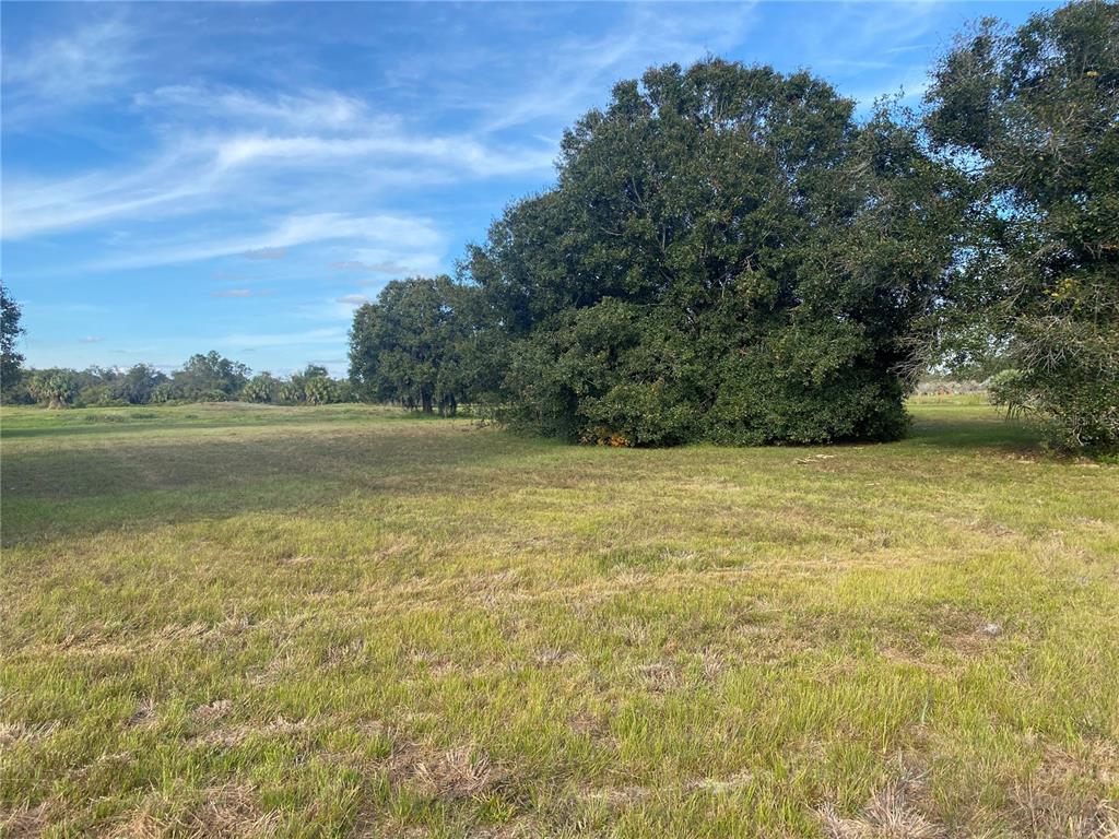 8174 Southwest Aviary Road Arcadia, FL 34269 - Photo 1 of 1 Gallery Image 1