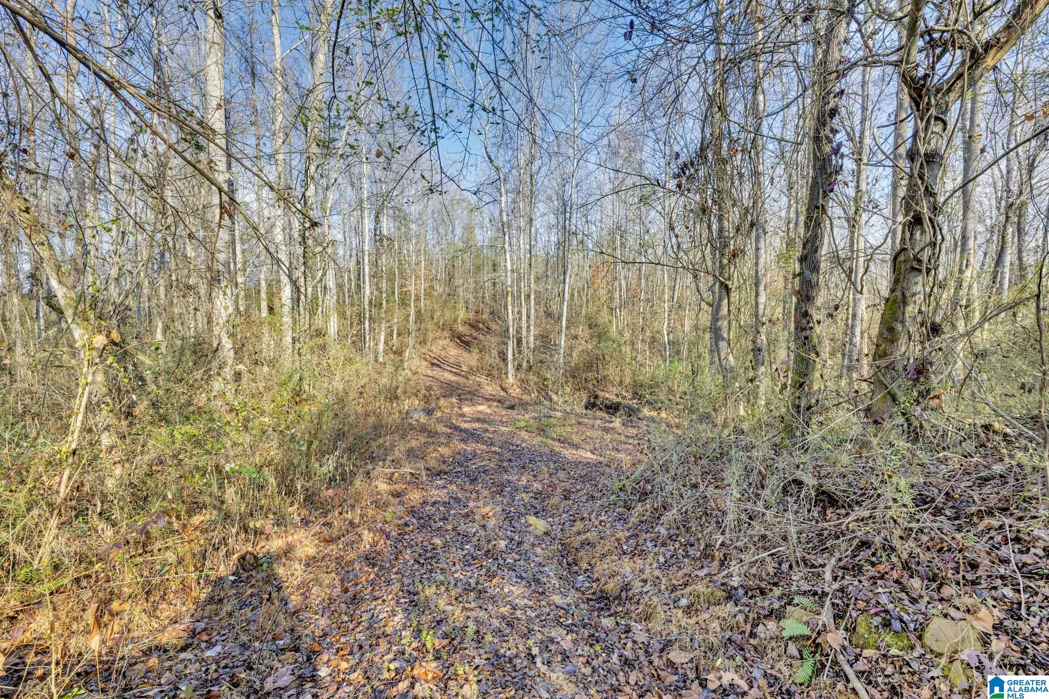 941 Hamm Road Blountsville, AL 35031 - Photo 43 of 67