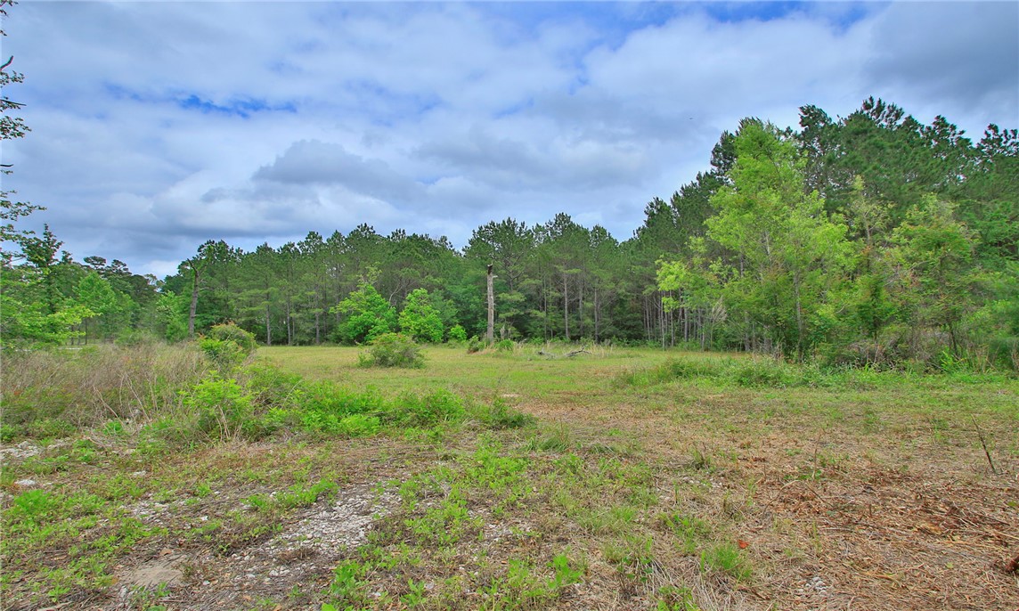5914 Carter Road Waller, TX 77484 - Photo 20 of 41