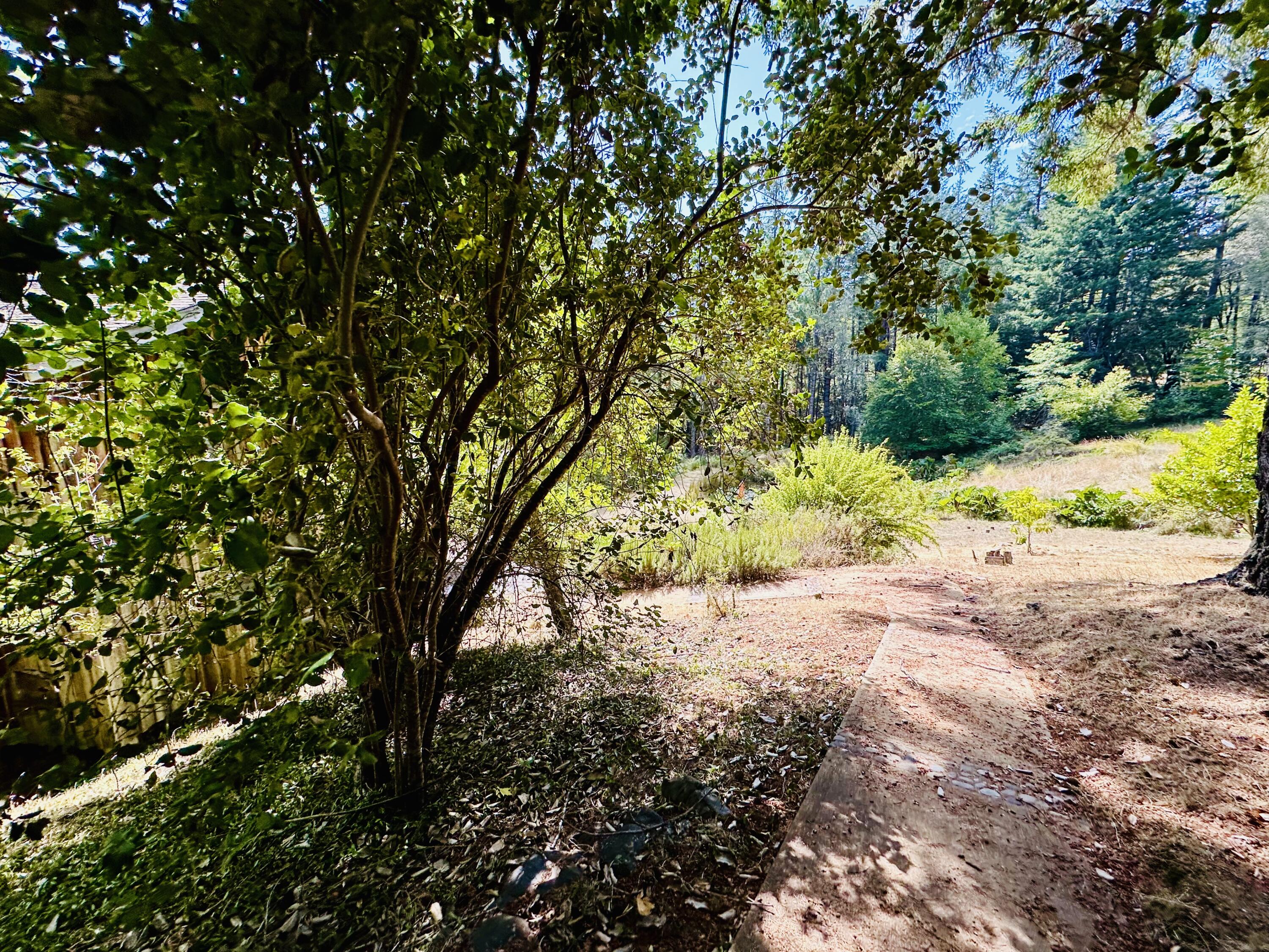 3820 Thomas Road Miranda, CA 95553 - Photo 53 of 97