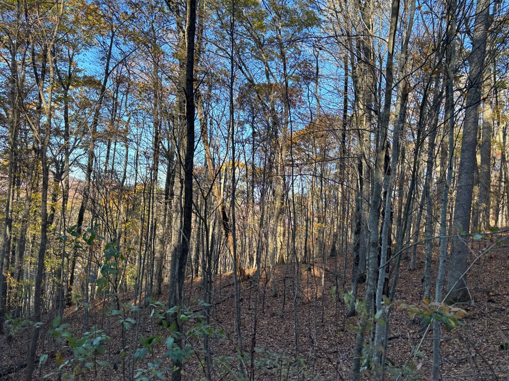 Lot#39 Falcon Stone Ridge Topton, NC 28781 - Photo 10 of 10