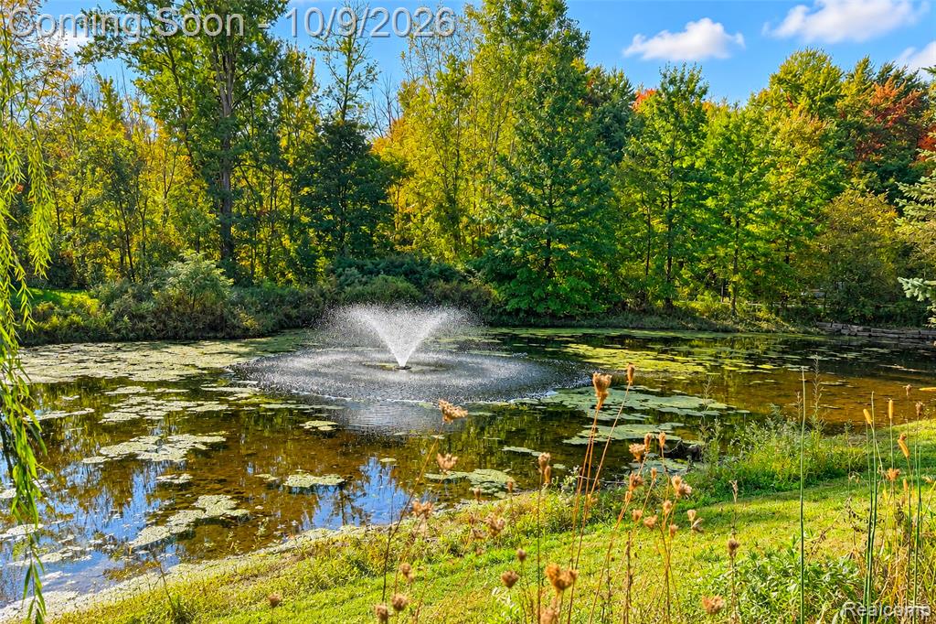 27363 Victoria Road Novi, MI 48374 - Photo 62 of 67 Gallery Image 62