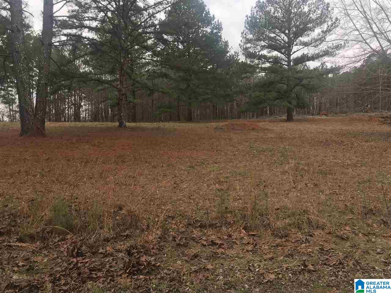 7454 Turner Road, Unit LOT 3 Dora, AL 35062 - Photo 2 of 2