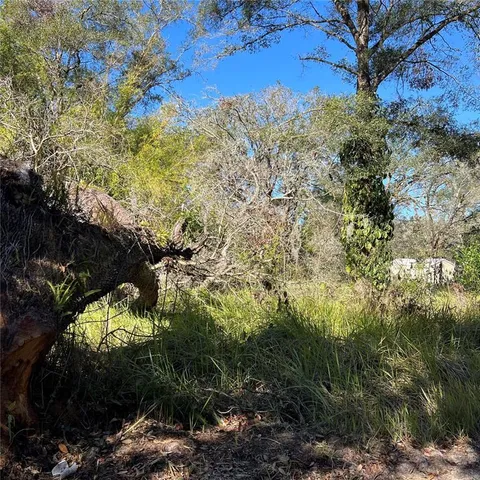 $19,000 | 0 Durden Road, Dade City, FL 33523