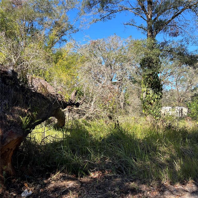 0 Durden Road Dade City, FL 33523 - Photo 1 of 4