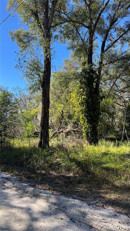 0 Durden Road Dade City, FL 33523 - Photo 2 of 4