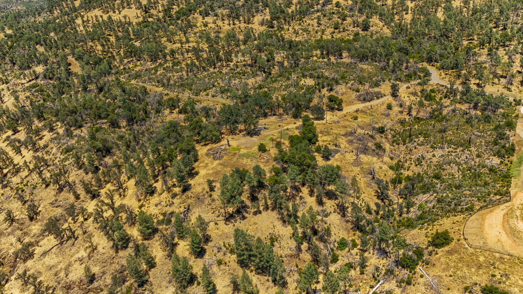 8034 Muletown Road Redding, CA 96001 - Photo 13 of 17 9-web-or-mls-DJI_20260610140823_0134_D