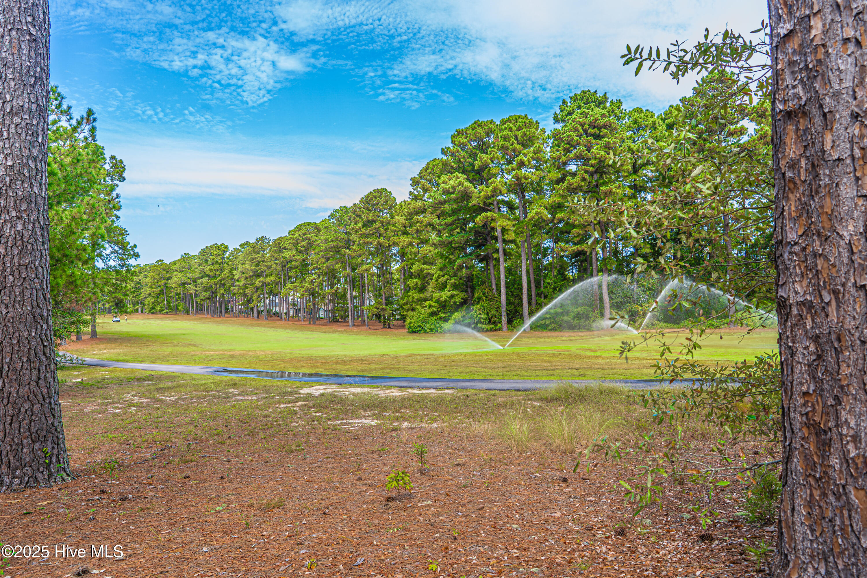 680 Legacy Lakes Way Aberdeen, NC 28315 - Photo 45 of 55 Golf View