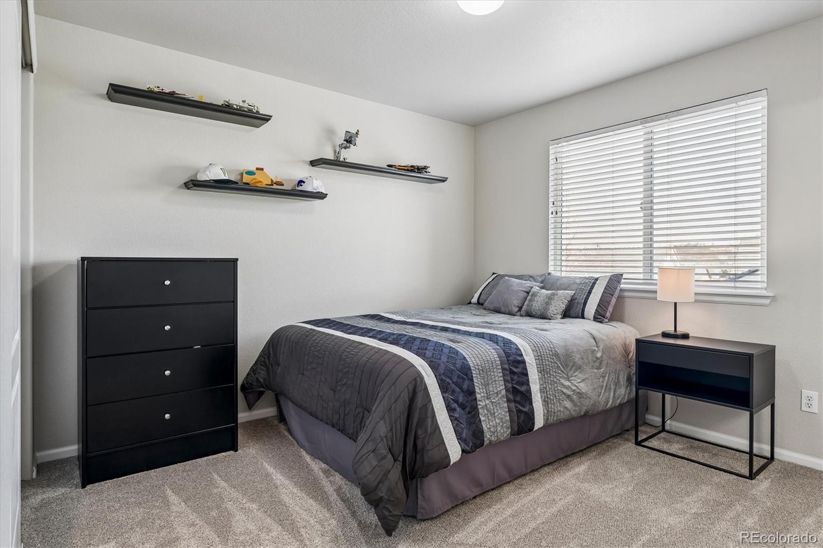 4324 Ivycrest Point Highlands Ranch, CO 80130 - Photo 12 of 22