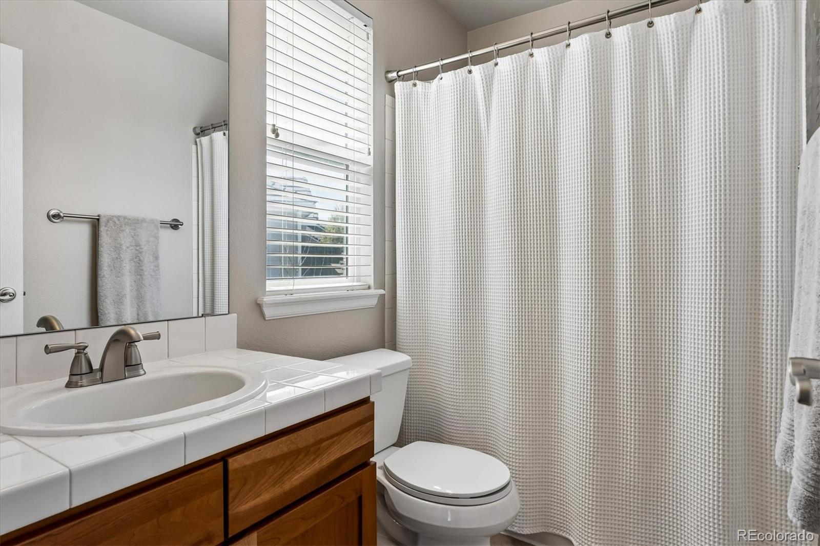 4324 Ivycrest Point Highlands Ranch, CO 80130 - Photo 16 of 22