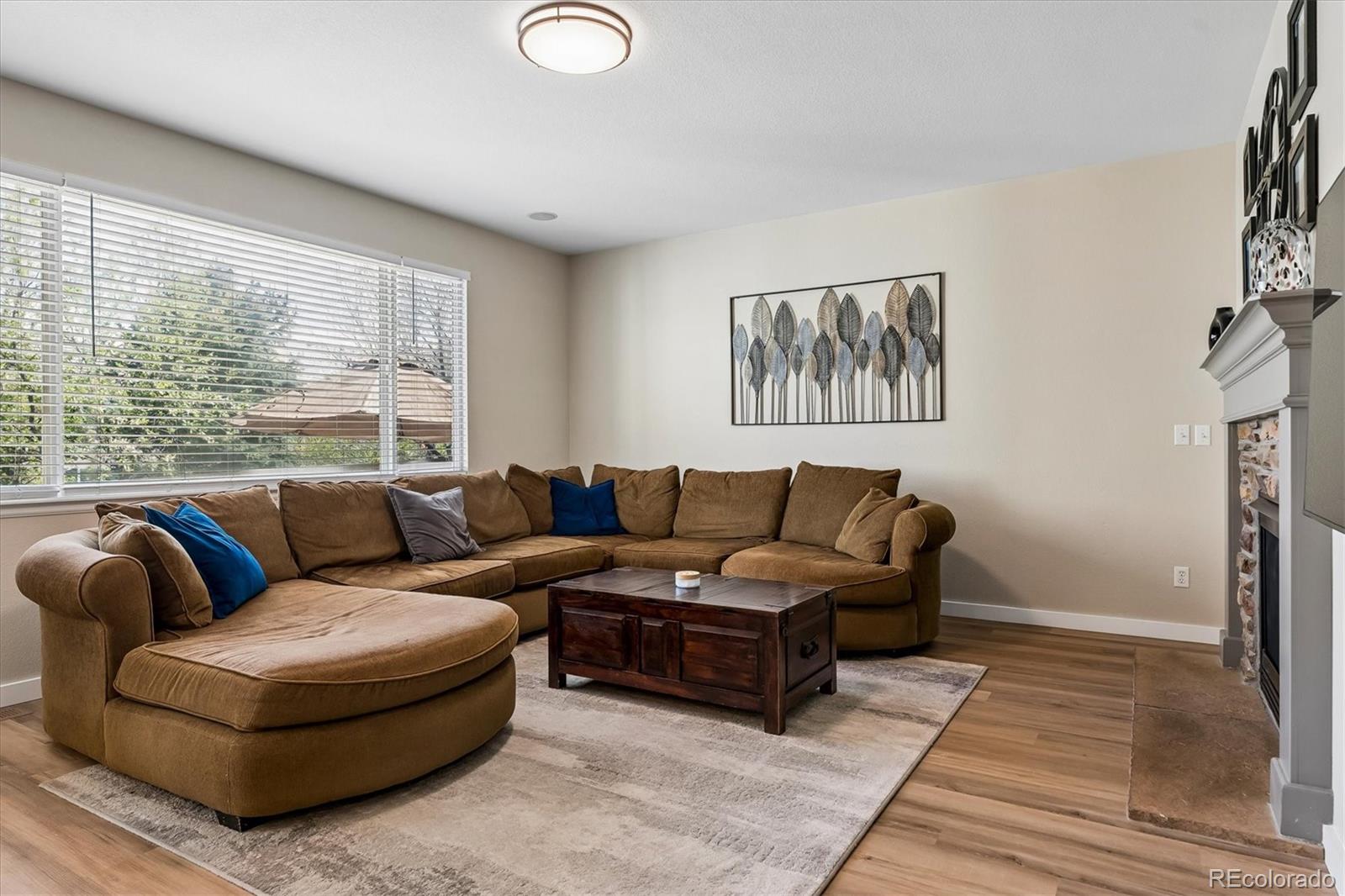 4324 Ivycrest Point Highlands Ranch, CO 80130 - Photo 9 of 22