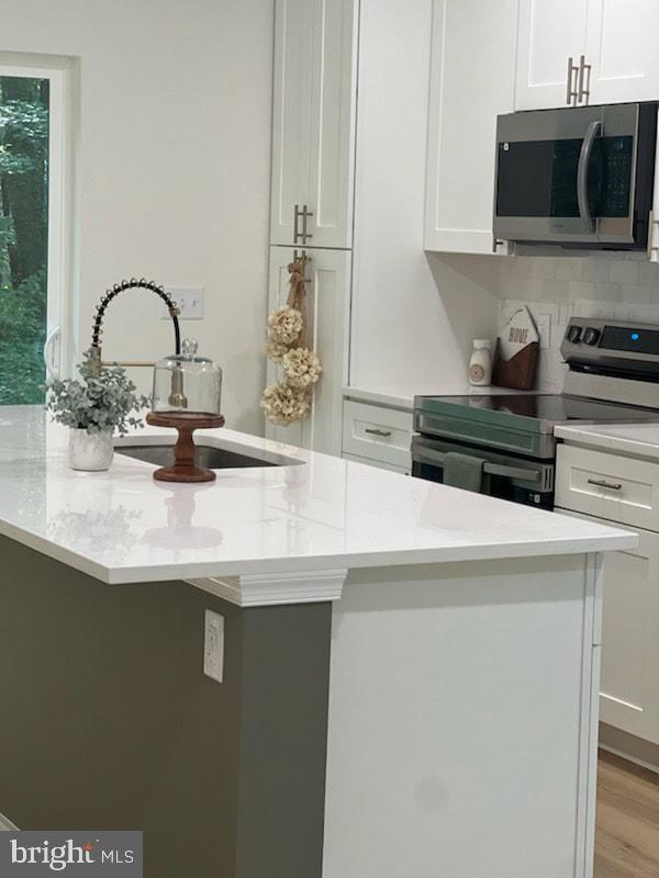1710 Starr Road Queen Anne, MD 21657 - Photo 13 of 23 Kitchen