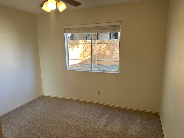 331 Fantail Loop, Unit B Austin, TX 78734 - Photo 14 of 16 Unfurnished room featuring carpet flooring, healthy amount of natural light, and ceiling fan