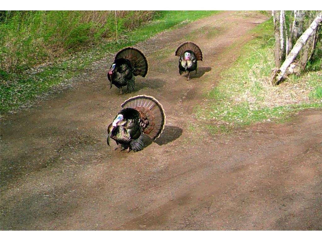 60047 Finlayson Road Finlayson, MN 55735 - Photo 45 of 56