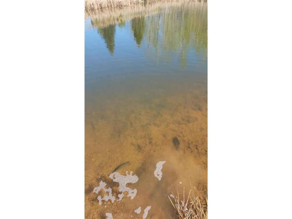 60047 Finlayson Road Finlayson, MN 55735 - Photo 49 of 56