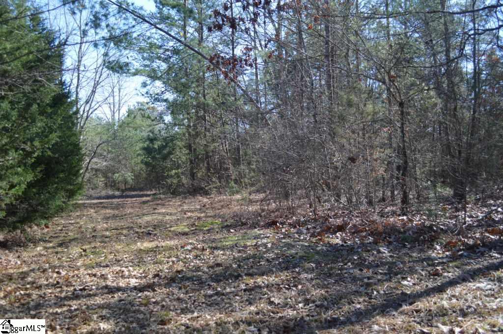 Church Street Pickens, SC 29671 - Photo 2 of 13