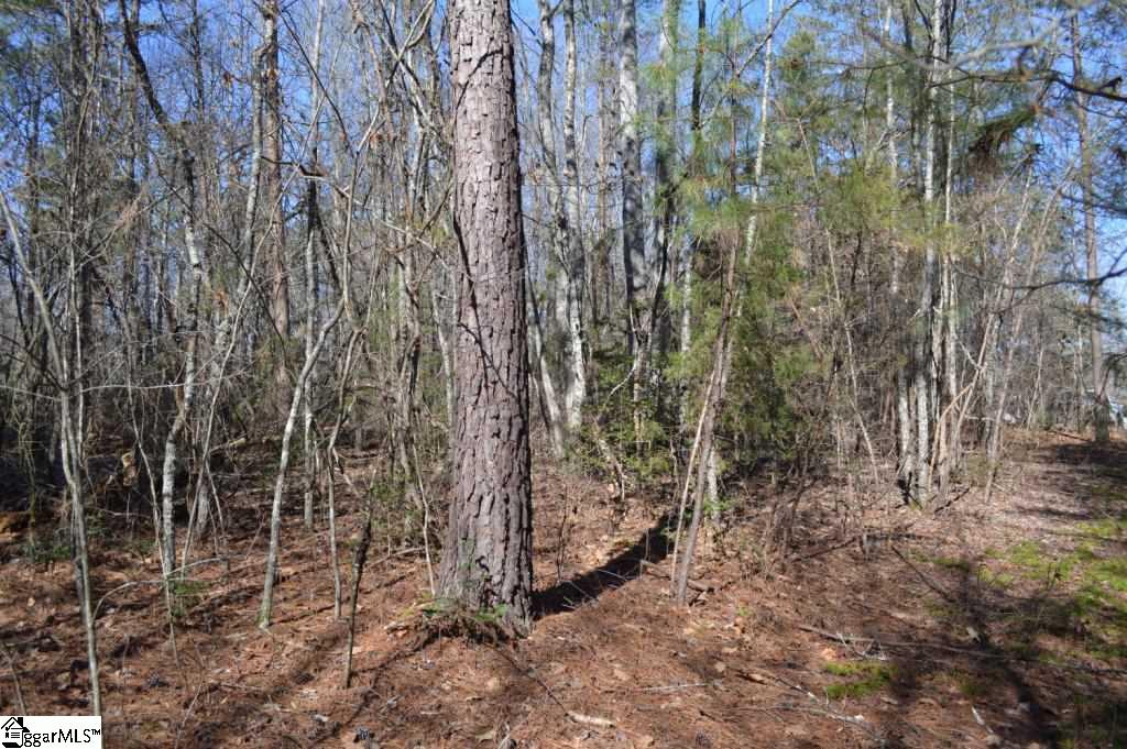 Church Street Pickens, SC 29671 - Photo 11 of 13