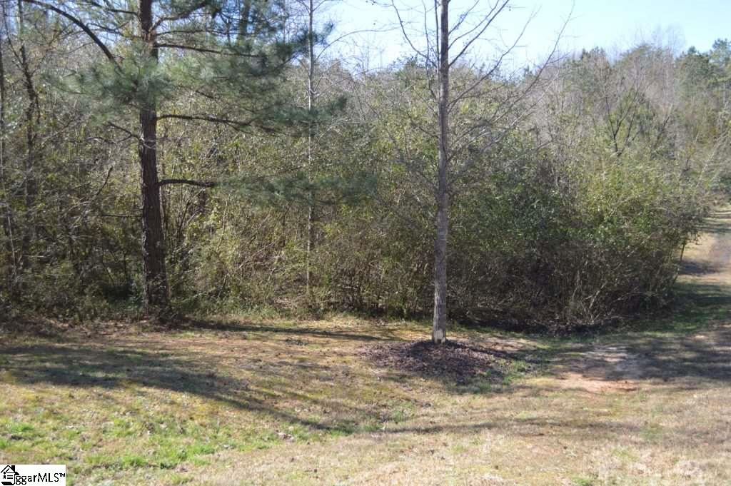 Church Street Pickens, SC 29671 - Photo 13 of 13
