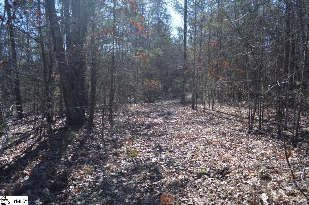 Church Street Pickens, SC 29671 - Photo 3 of 13