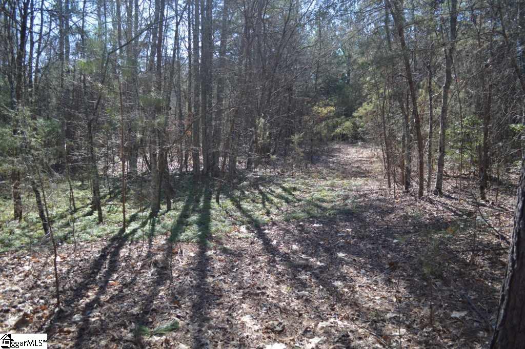 Church Street Pickens, SC 29671 - Photo 4 of 13