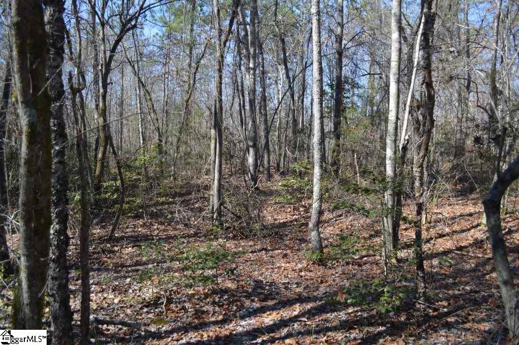 Church Street Pickens, SC 29671 - Photo 5 of 13