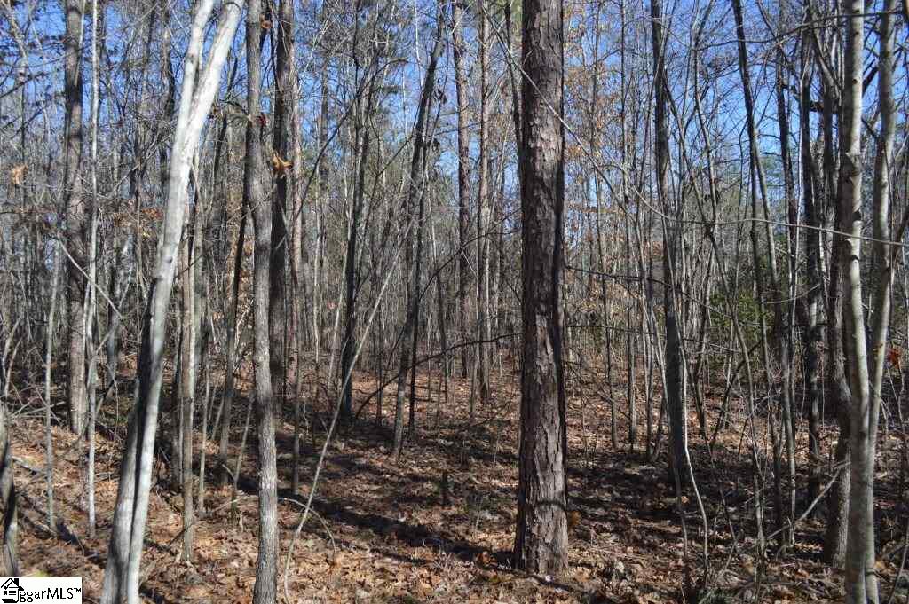 Church Street Pickens, SC 29671 - Photo 6 of 13