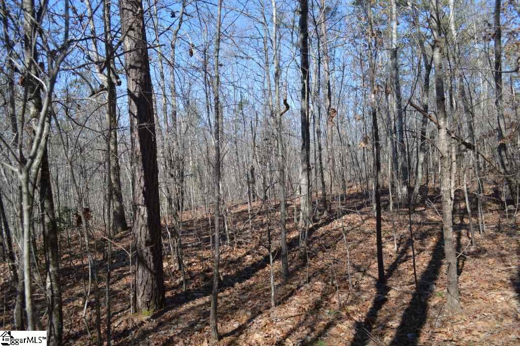 Church Street Pickens, SC 29671 - Photo 7 of 13