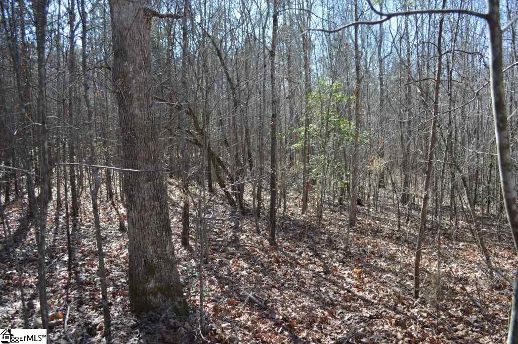 Church Street Pickens, SC 29671 - Photo 8 of 13