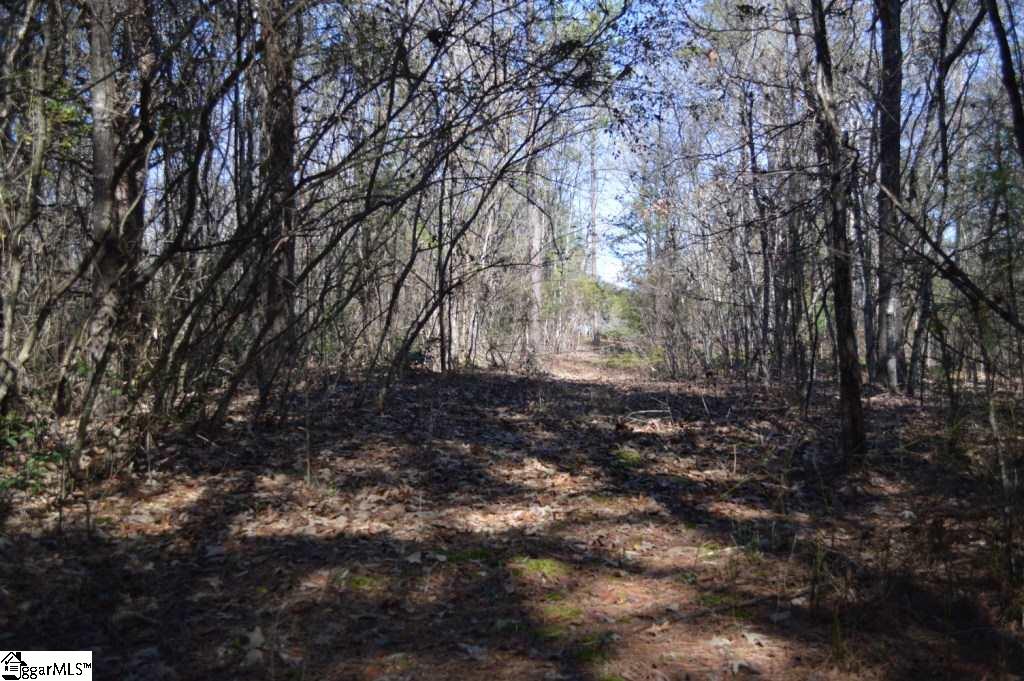 Church Street Pickens, SC 29671 - Photo 10 of 13