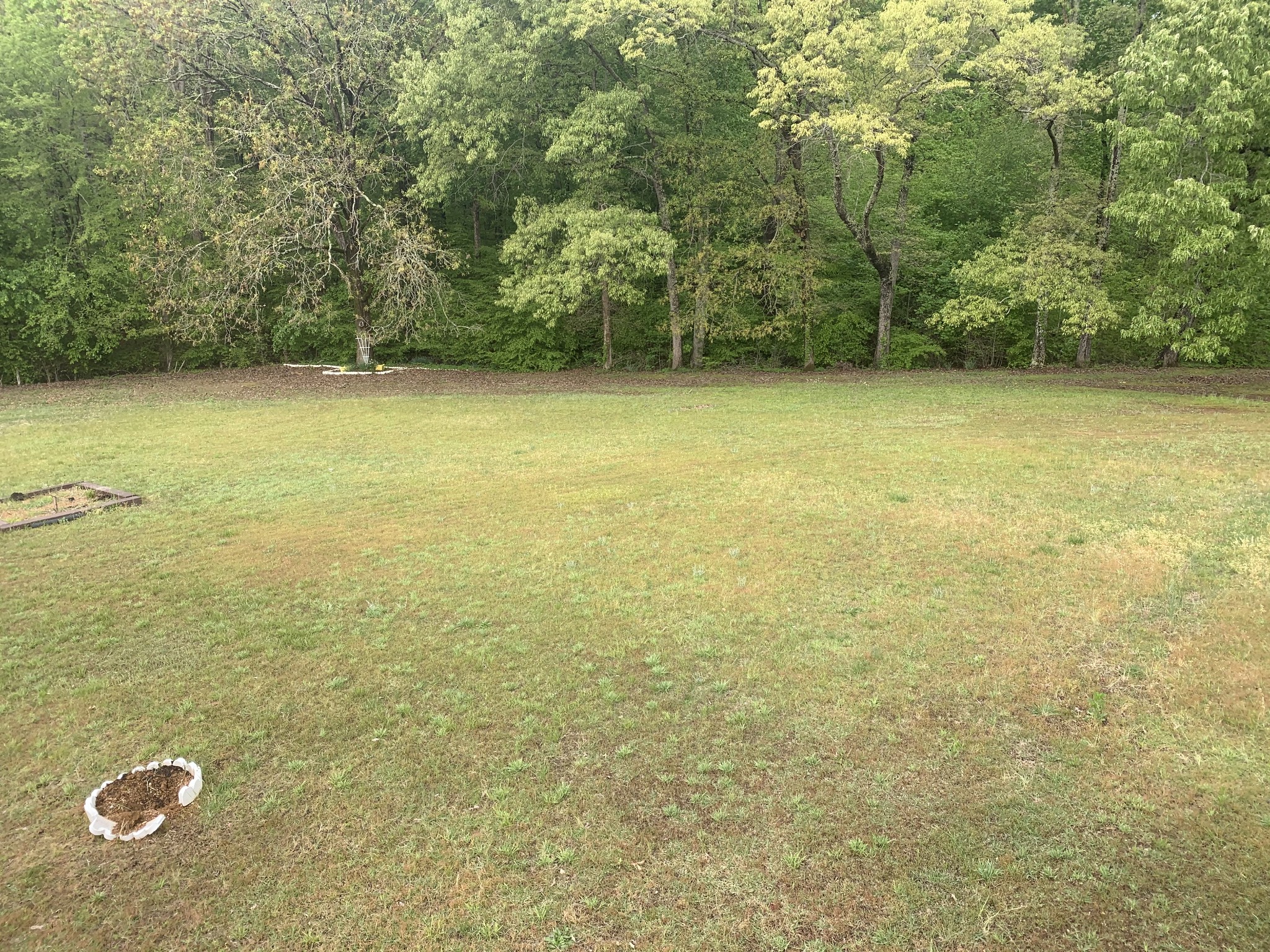 115 Thompson School Road Camden, TN 38320 - Photo 11 of 28 Gallery Image 11