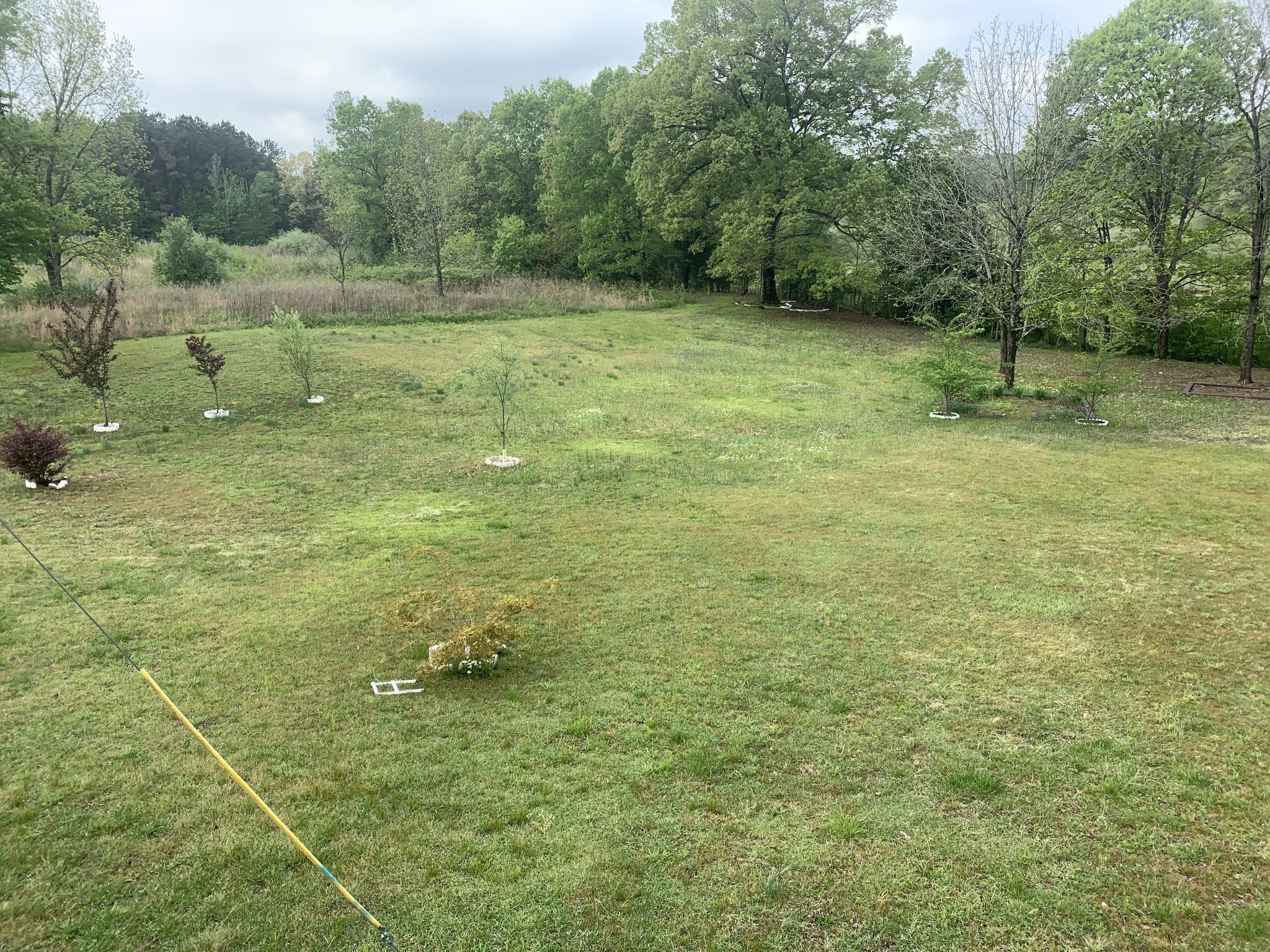 115 Thompson School Road Camden, TN 38320 - Photo 12 of 28 Gallery Image 12