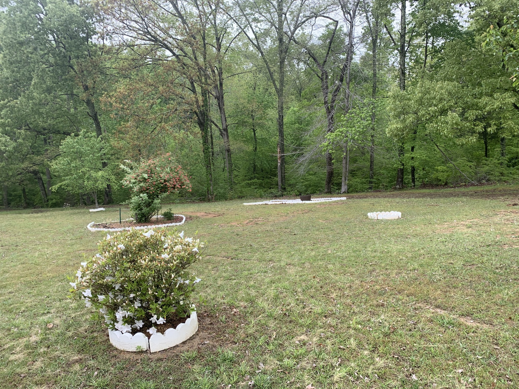 115 Thompson School Road Camden, TN 38320 - Photo 9 of 28 Gallery Image 9