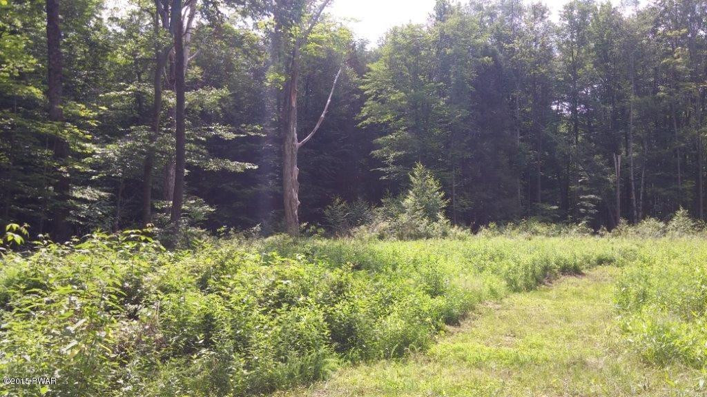 4 Stony Lonesome Road Lake Ariel, PA 18436 - Photo 2 of 12
