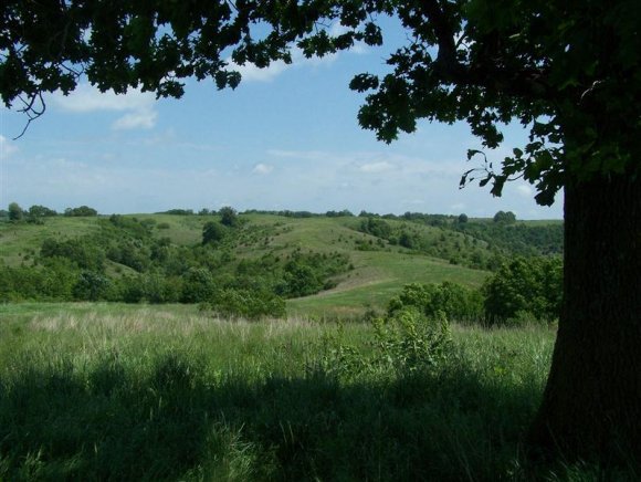 Tbd Old Wilderness Road Reeds Spring, MO 65737 - Photo 1 of 1 Primary Photo