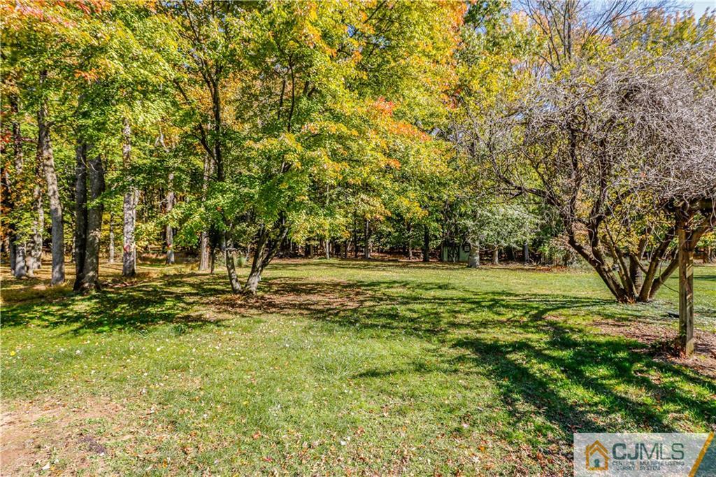 860 Grove Avenue Edison, NJ 08820 - Photo 20 of 22 a view of a field with trees