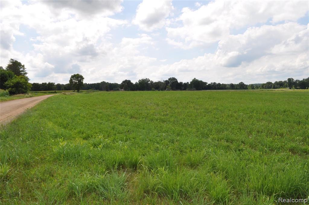 0 West Coon Lake Road Webberville, MI 48892 - Photo 11 of 38