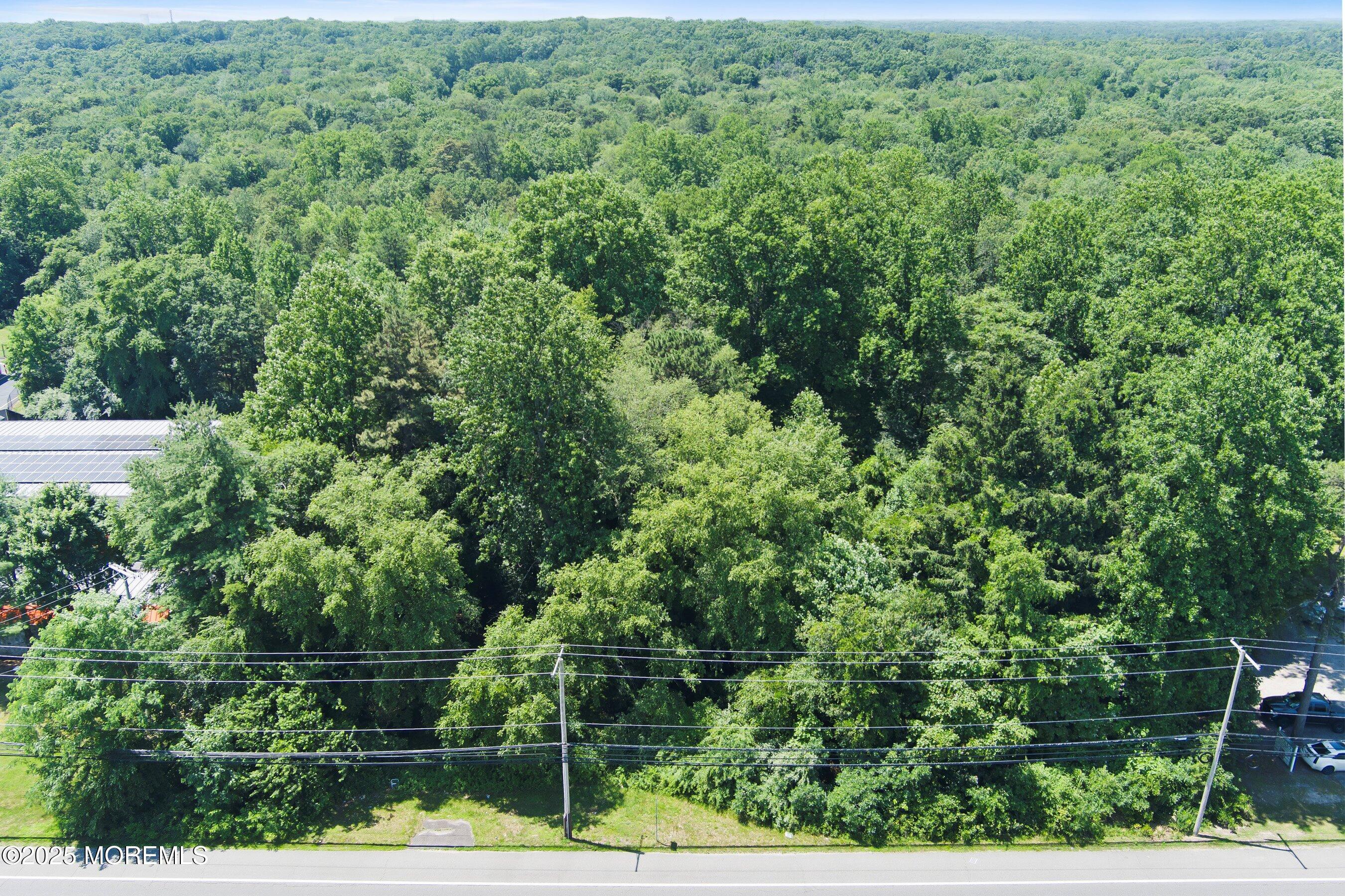 185 North County Line Road Jackson, NJ 08527 - Photo 8 of 22 03-Aerial 1