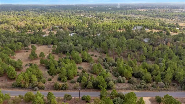 an aerial view of forest