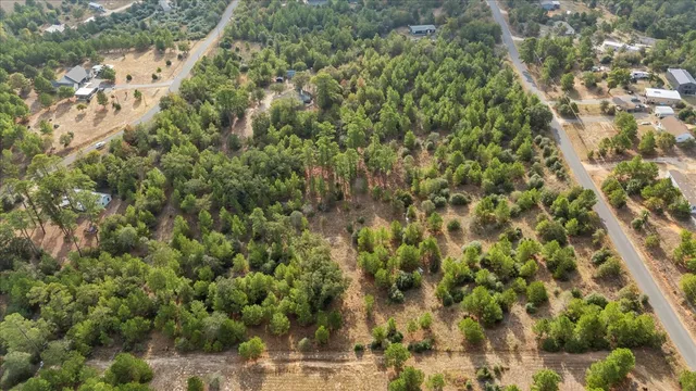 a view of a city with lush green forest