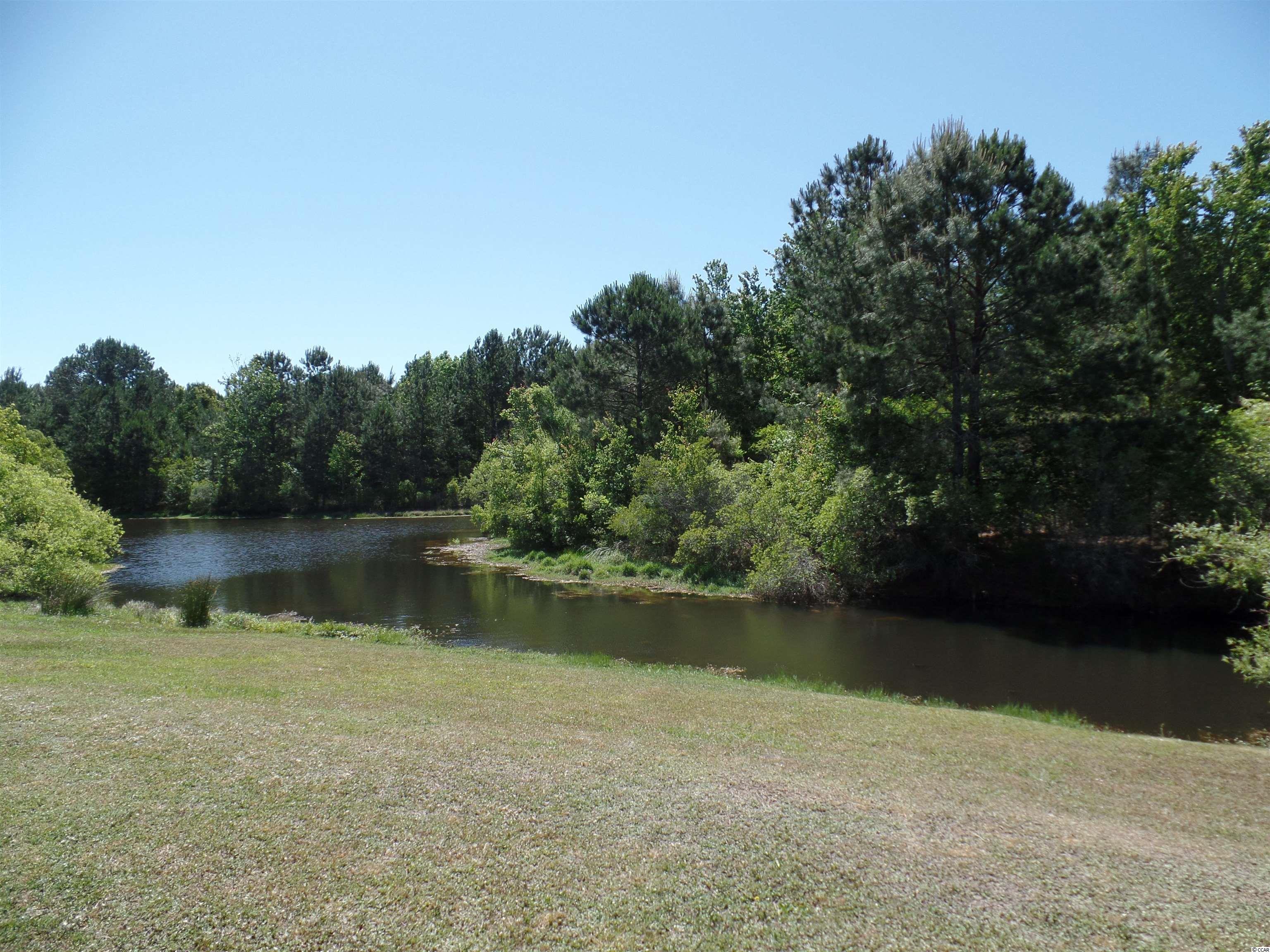 481 West Perry Road Myrtle Beach, SC 29579 - Photo 25 of 26 Gallery Image 25