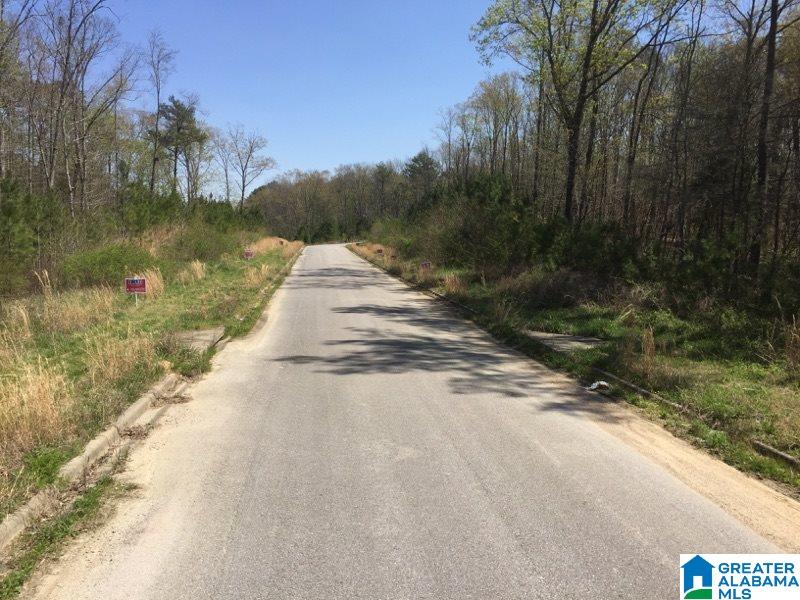 101 Foliage View, Unit LOT 56 Alabaster, AL 35007 - Photo 4 of 4