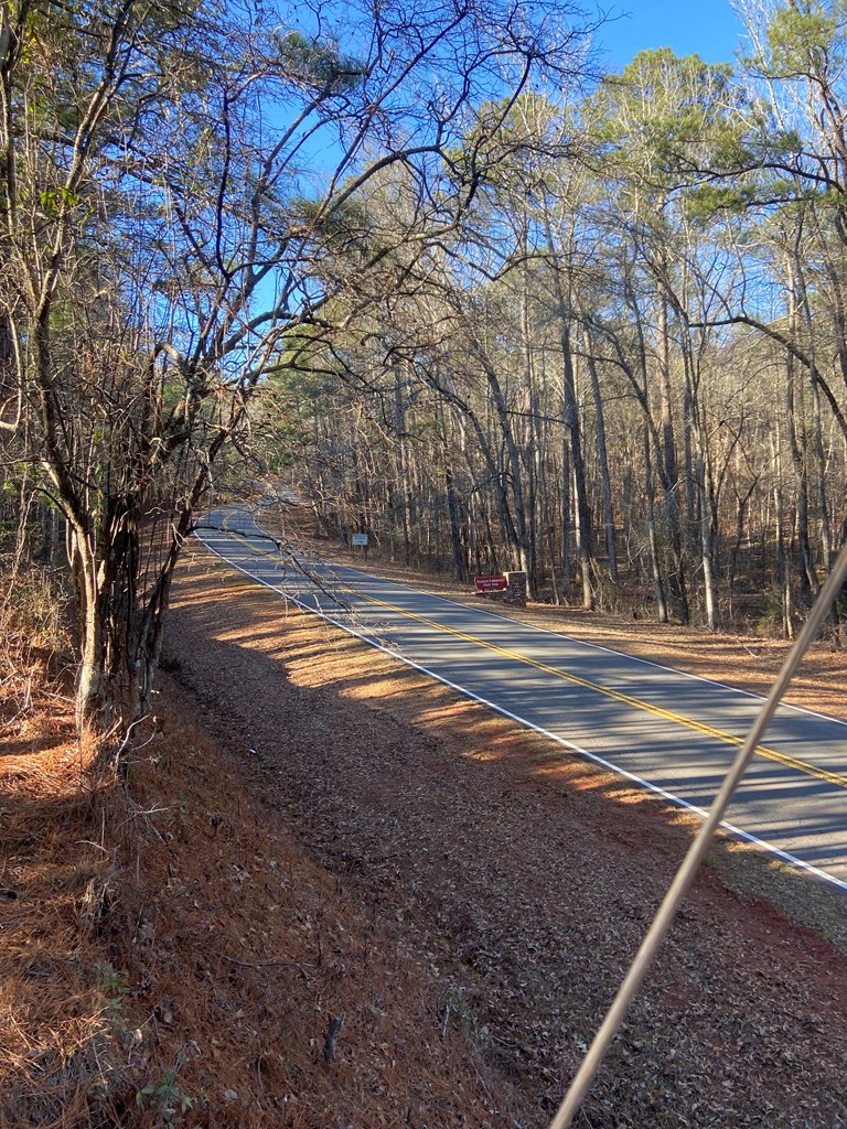 0 Kings Gap Road Pine Mountain, GA 31822 - Photo 11 of 19 Gallery Image 11