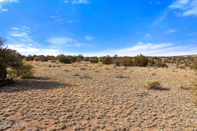 $39,000 | 9996 Bird Dog Circle, Unit LOT F, Williams, AZ 86046