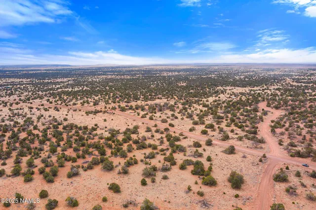 an aerial view of residential houses with city view