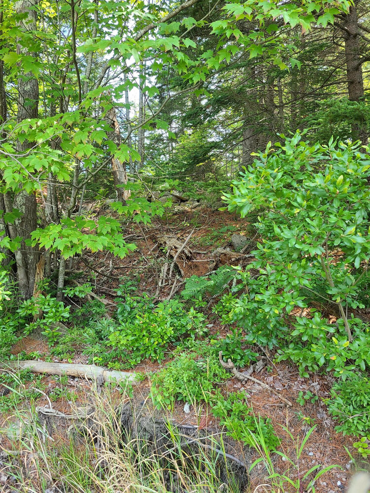 0 Waldoboro Road Friendship, ME 04547 - Photo 2 of 2 20210804_113619