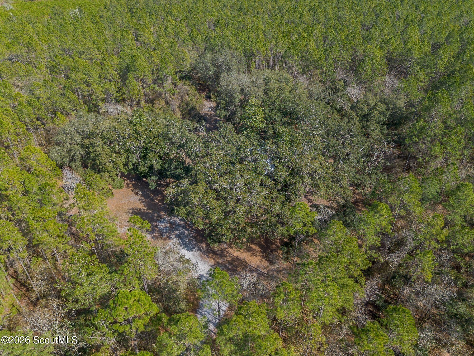 12321 Highway 185 St. George, GA 31562 - Photo 38 of 57 52-AC-SR-185-ST-GEORGE-GA-7