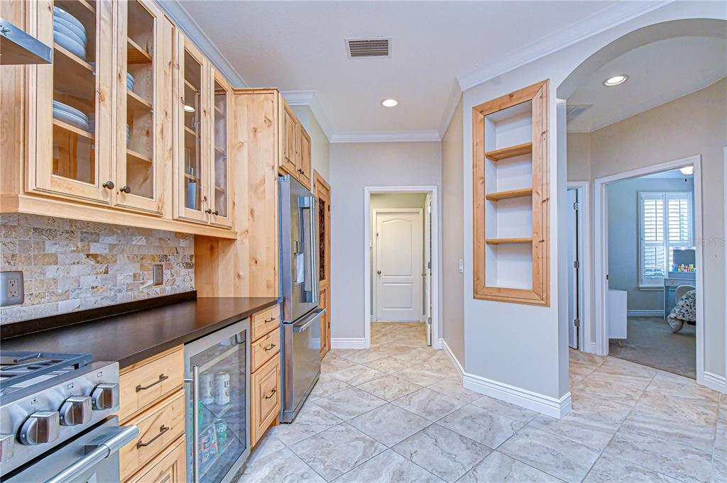 6069 Sandhill Ridge Drive Lithia, FL 33547 - Photo 9 of 42