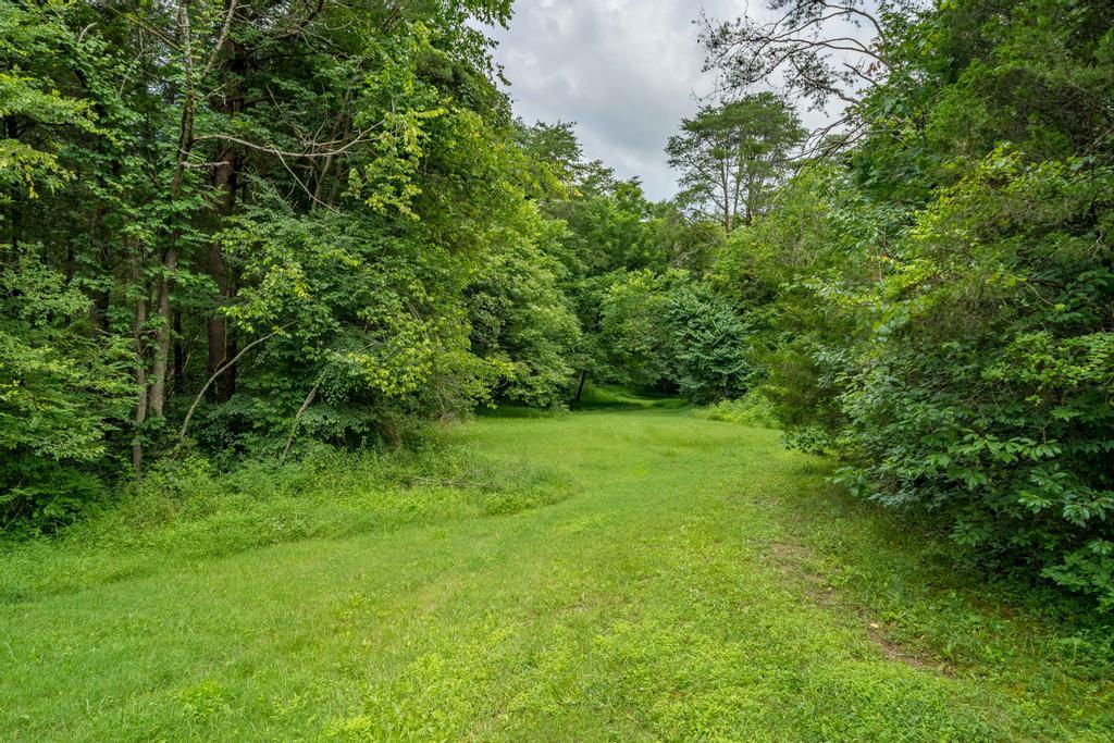 2910 North Wesley Chapel Road Greeneville, TN 37745 - Photo 35 of 40 To Pond