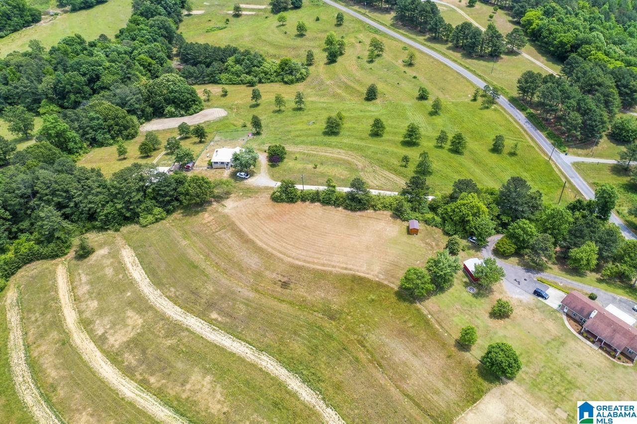 1220 Hicks Road Oneonta, AL 35121 - Photo 42 of 47 Gallery Image 42