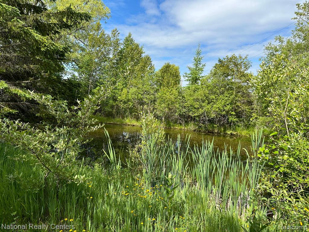 1330 East Hubert Road Spruce, MI 48762 - Photo 22 of 51 Gallery Image 22